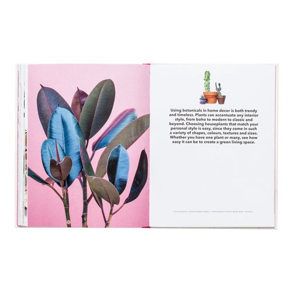 Book: How to Raise a Plant: And Make It Love You Back House Plant Club NEW!! - Picture 3 of 7